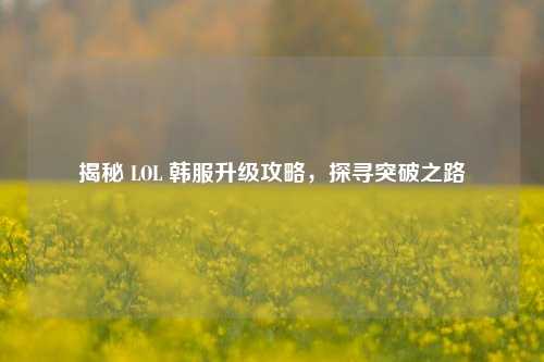 揭秘 LOL 韩服升级攻略，探寻突破之路