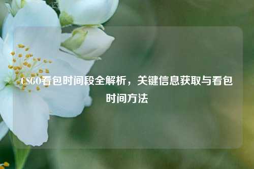 CSGO看包时间段全解析,关键信息获取与看包时间方法