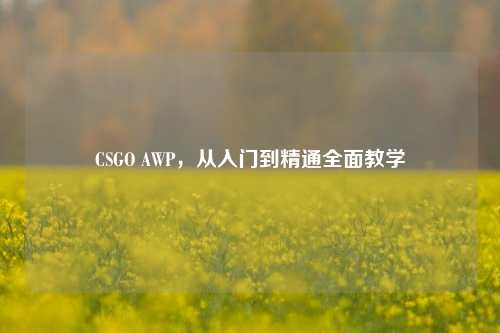 CSGO AWP，从入门到精通全面教学