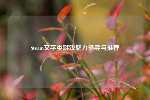 Steam文字类游戏魅力探寻与推荐