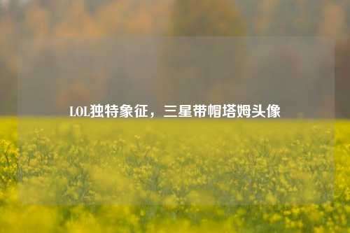 LOL独特象征,三星带帽塔姆头像