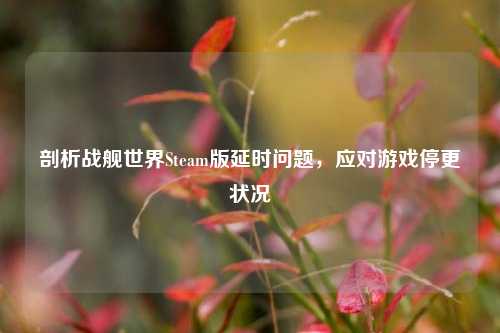 剖析战舰世界Steam版延时问题，应对游戏停更状况