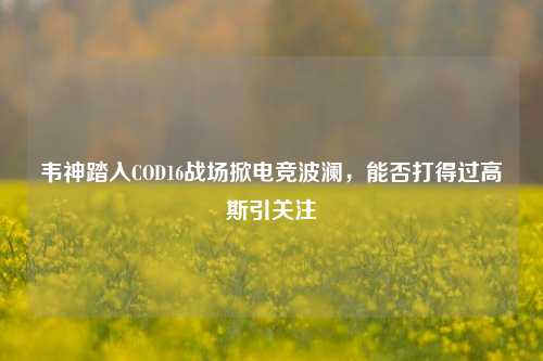 韦神踏入COD16战场掀电竞波澜，能否打得过高斯引关注