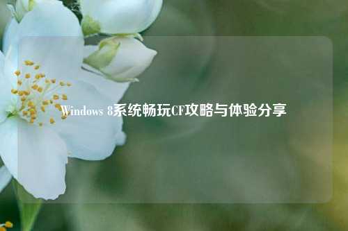 Windows 8系统畅玩CF攻略与体验分享