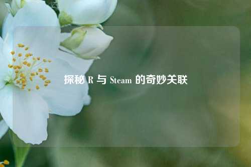 探秘 R 与 Steam 的奇妙关联