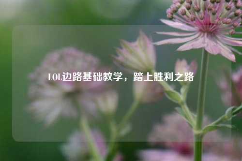 LOL边路基础教学,踏上胜利之路
