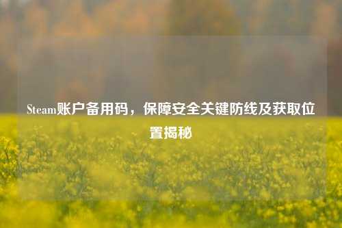 Steam账户备用码,保障安全关键防线及获取位置揭秘