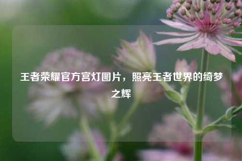 王者荣耀官方宫灯图片,照亮王者世界的绮梦之辉