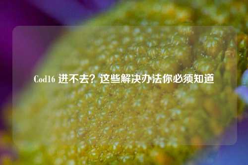 Cod16 进不去?这些解决办法你必须知道