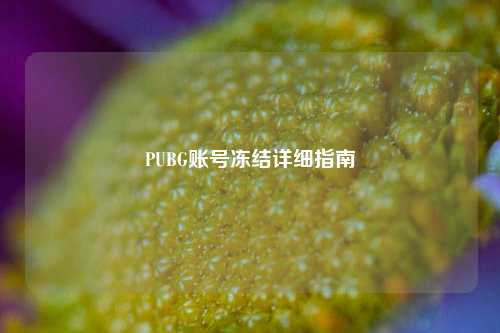 PUBG账号冻结详细指南