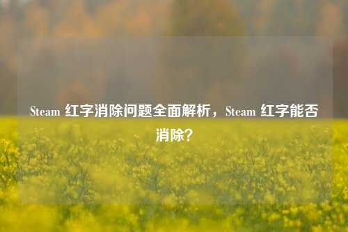Steam 红字消除问题全面解析,Steam 红字能否消除?