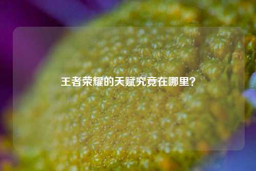 王者荣耀的天赋究竟在哪里?