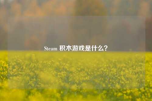 Steam 积木游戏是什么？