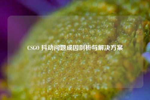 CSGO 抖动问题成因剖析与解决方案