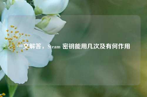 一文解答,Steam 密钥能用几次及有何作用