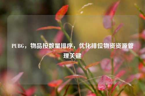 PUBG,物品按数量排序,优化排位物资资源管理关键