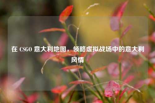在 CSGO 意大利地图,领略虚拟战场中的意大利风情