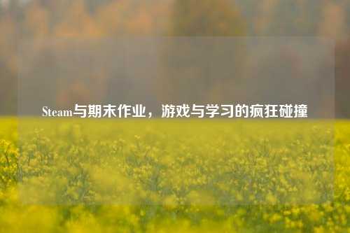 Steam与期末作业，游戏与学习的疯狂碰撞