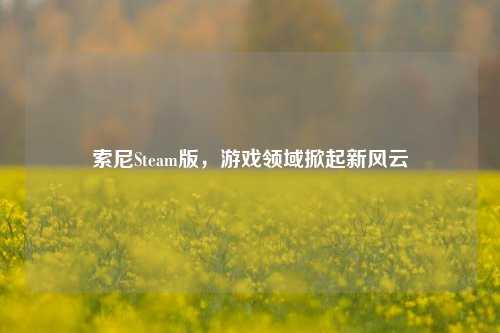 索尼Steam版,游戏领域掀起新风云