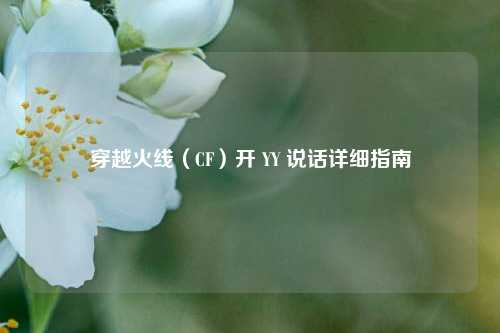 穿越火线(CF)开 YY 说话详细指南