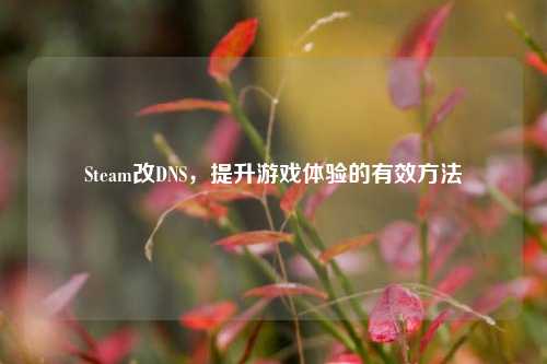 Steam改DNS，提升游戏体验的有效方法