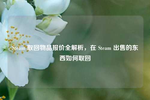 Steam 取回物品报价全解析，在 Steam 出售的东西如何取回