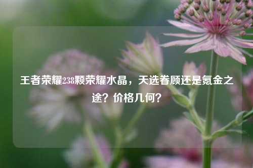 王者荣耀238颗荣耀水晶,天选眷顾还是氪金之途?价格几何?