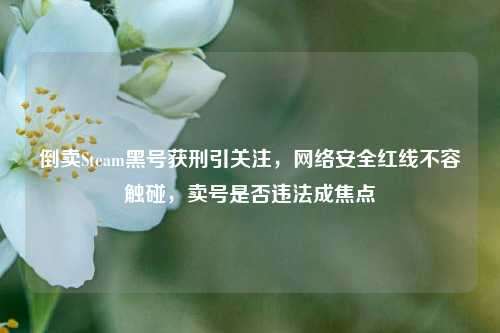 倒卖Steam黑号获刑引关注,网络安全红线不容触碰,卖号是否违法成焦点