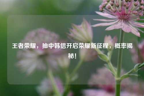 王者荣耀,抽中韩信开启荣耀新征程,概率揭秘!
