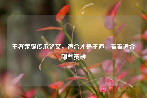 王者荣耀传承铭文，适合才是王道，看看适合哪些英雄