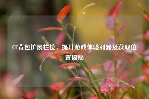 CF背包扩展栏位,提升游戏体验利器及获取位置揭秘