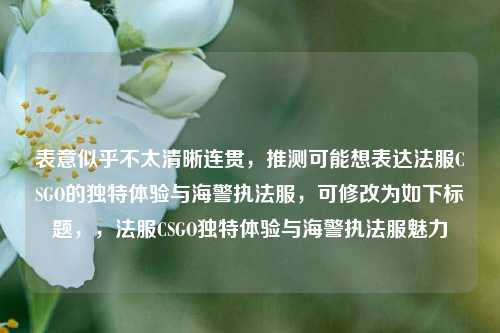 表意似乎不太清晰连贯，推测可能想表达法服CSGO的独特体验与海警执法服，可修改为如下标题，，法服CSGO独特体验与海警执法服魅力