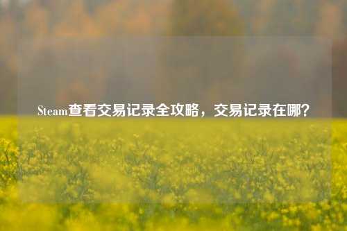 Steam查看交易记录全攻略,交易记录在哪?