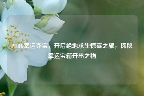 PUBG幸运夺宝,开启绝地求生惊喜之旅,探秘幸运宝箱开出之物