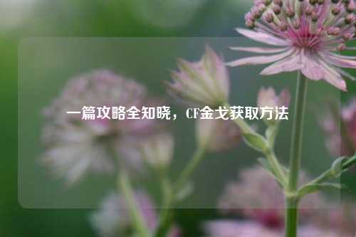 一篇攻略全知晓,CF金戈获取方法