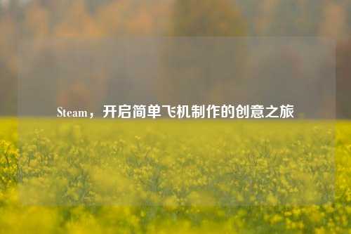 Steam,开启简单飞机制作的创意之旅