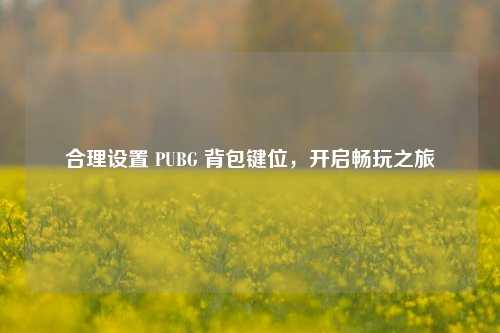 合理设置 PUBG 背包键位，开启畅玩之旅