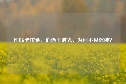 PUBG卡拉金,消逝于时光,为何不见踪迹?