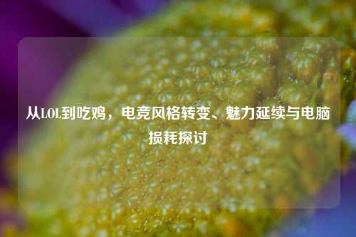 从LOL到吃鸡,电竞风格转变、魅力延续与电脑损耗探讨