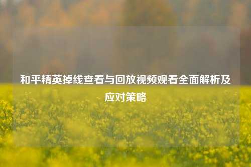 和平精英掉线查看与回放视频观看全面解析及应对策略