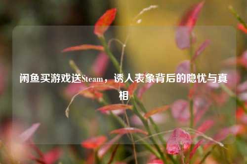 闲鱼买游戏送Steam,诱人表象背后的隐忧与真相