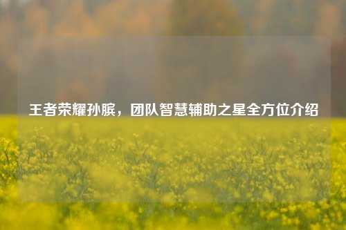 王者荣耀孙膑，团队智慧辅助之星全方位介绍