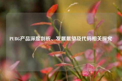 PUBG产品深度剖析、发展展望及代码相关探究