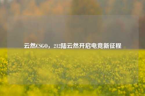 云然CSGO,212陆云然开启电竞新征程