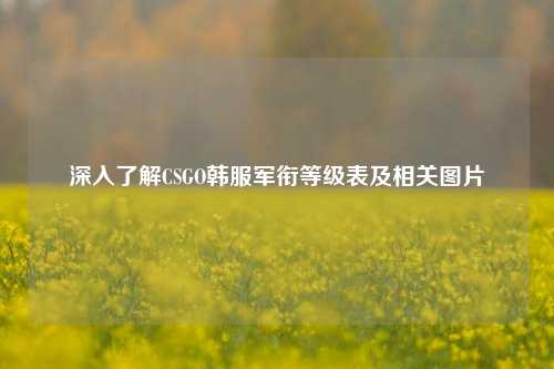 深入了解CSGO韩服军衔等级表及相关图片