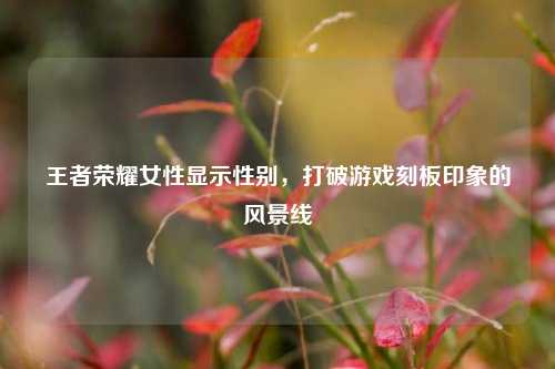 王者荣耀女性显示性别,打破游戏刻板印象的风景线
