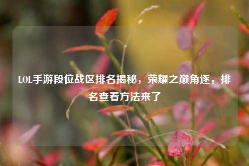 LOL手游段位战区排名揭秘,荣耀之巅角逐,排名查看方法来了