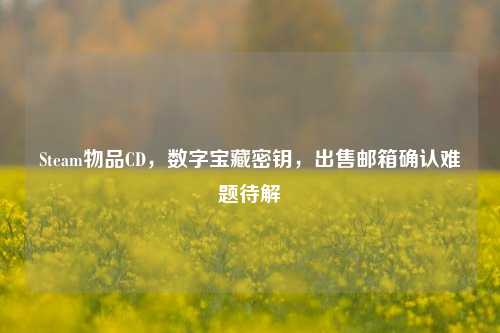 Steam物品CD,数字宝藏密钥,出售邮箱确认难题待解
