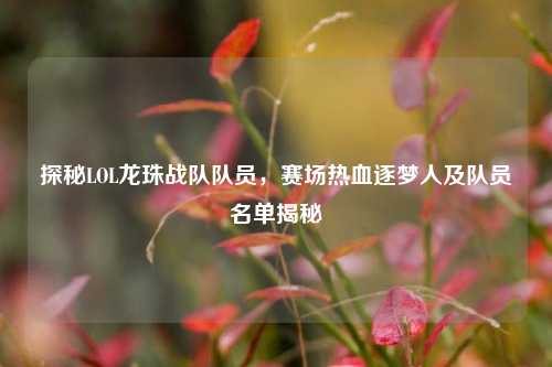 探秘LOL龙珠战队队员,赛场热血逐梦人及队员名单揭秘
