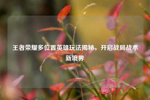 王者荣耀多位置英雄玩法揭秘,开启战局战术新境界
